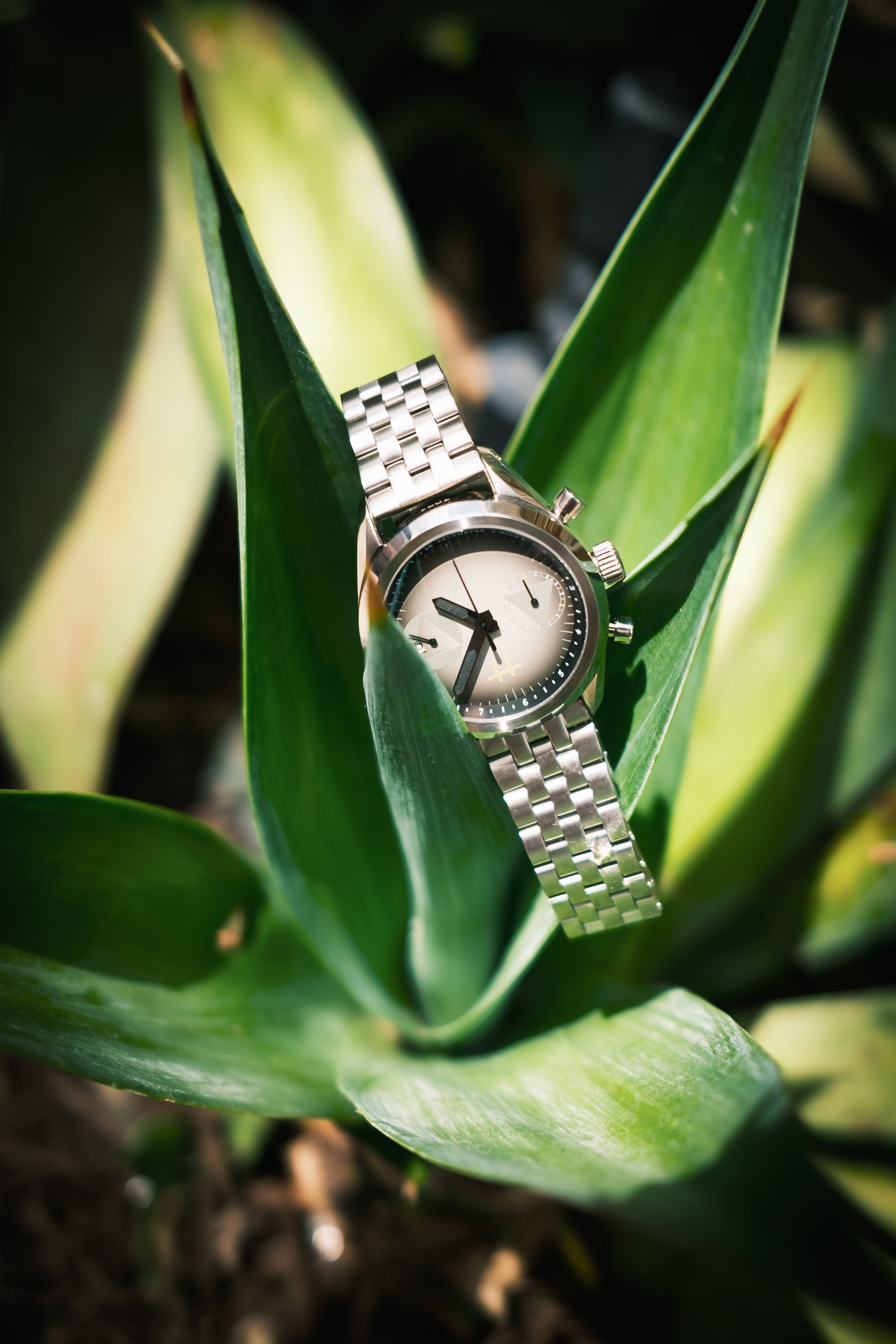 Chilluminati | Haven Watch Co.