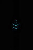 Trotter - Midnight